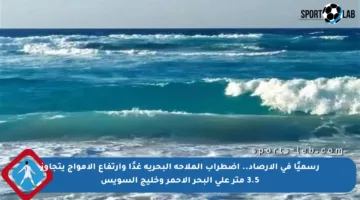 رسميًا في الأرصاد.. اضطراب الملاحة البحرية غدًا وارتفاع الأمواج يتجاوز 3.5 متر على البحر الأحمر وخليج السويس